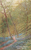 Ретро открытки - Г.Х. Дженкинс. Ранняя весна в лесу Гемпшира