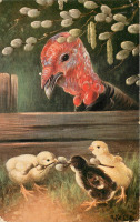 Ретро открытки - Три цыплёнка, индейка и ветка вербы
