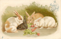 Ретро открытки - Три светлых и один чёрный кролик с морковкой