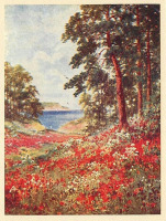 Ретро открытки - Лесной пейзаж и красные маки на поляне