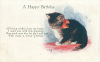 Ретро открытки - Котёнок с бантиком. День Рождения. Домашние животные