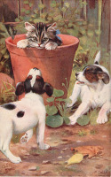 Ретро открытки - Щенки и котёнок в цветочном горшке