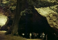 Латвия - Пещера Гутманя
