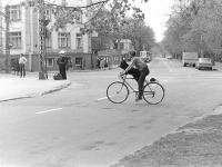  - собака велопассажир Таллин 1962