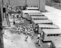 Автобусы - Зарождение школьного автобуса в США