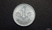 Старинные деньги (бумажные, монеты) - Форинт- монета из прошлого.