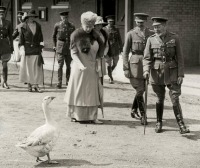 Ретро знаменитости - King George V, Queen Mary and..a goose