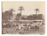 Израиль - Рынок у стен Яффы, 1880-1885