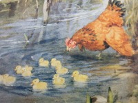Пресса - Курица и утята в пруду
