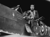Авиация - Капитан английских ВВС Эрик Локк в кабине своего истребителя Spitfire Mk.V вместе со своей собакой