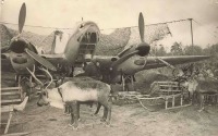 Авиация - Подвоз бомб на оленьих упряжках