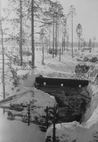 Финляндия - Вид окопов финнов в районе Суммы