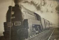 Железная дорога (поезда, паровозы, локомотивы, вагоны) - Скоростной экспресс  