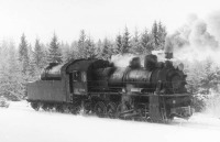 Железная дорога (поезда, паровозы, локомотивы, вагоны) - Паровоз в лесу