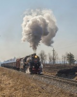 Железная дорога (поезда, паровозы, локомотивы, вагоны) - Паровоз Л-3348 с поездом,Смоленская область