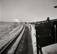 Железная дорога (поезда, паровозы, локомотивы, вагоны) - Длинный поезд