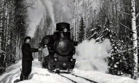 Железная дорога (поезда, паровозы, локомотивы, вагоны) - Узкоколейная железная дорога в леспромхозе