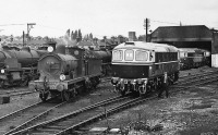 Железная дорога (поезда, паровозы, локомотивы, вагоны) - Паровоз №31592 и тепловоз D6564 в депо Тонбридж
