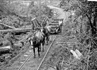Железная дорога (поезда, паровозы, локомотивы, вагоны) - Железная дорога на конной тяге