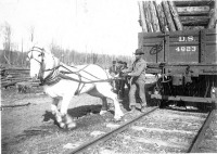 Железная дорога (поезда, паровозы, локомотивы, вагоны) - На конной тяге