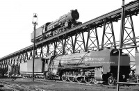 Железная дорога (поезда, паровозы, локомотивы, вагоны) - В депо Мейсонс Милл,ЮАР