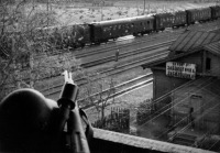 Железная дорога (поезда, паровозы, локомотивы, вагоны) - Болгарский военно-санитарный поезд на ст.Заболотинка в период немецкой оккупации