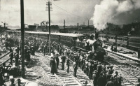 Железная дорога (поезда, паровозы, локомотивы, вагоны) - Первый поезд на новом Центральном вокзале Сиднея