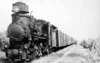 Железная дорога (поезда, паровозы, локомотивы, вагоны) - Состав с торфом