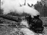 Железная дорога (поезда, паровозы, локомотивы, вагоны) - Узкоколейный паровоз Пт-4 на лесозаготовках
