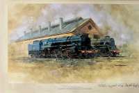 Железная дорога (поезда, паровозы, локомотивы, вагоны) - Дэвид Шепард. Черный Принц и Зелёный Рыцарь возле депо