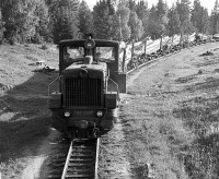 Железная дорога (поезда, паровозы, локомотивы, вагоны) - Тепловоз ТУ4-2690 с поездом на узкоколейной ж.д. Бизярского леспромхоза
