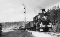 Железная дорога (поезда, паровозы, локомотивы, вагоны) - Паровоз серии ТЭ с поездом проходит семафор