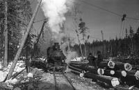 Железная дорога (поезда, паровозы, локомотивы, вагоны) - Узкоколейный паровоз серии Кв-4-213