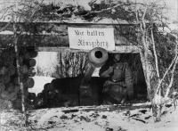 Войны (боевые действия) - Немецкие позиции на подступах к Кёнигсбергу, март 1945 года.