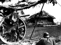 Войны (боевые действия) - Замаскированное немецкое артиллерийское орудие. Район Смоленска