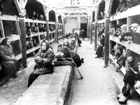 Войны (боевые действия) - Женский барак в Освенциме.