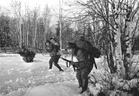 Войны (боевые действия) - Бойцы стрелковой части ведут наступление из леса