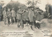 Войны (боевые действия) - Галицкий театр военных действий, 1914-1918