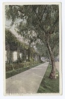 Штат Калифорния - Пасадена. Отель Мэриленд, пергола, 1898-1931