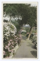 Лос-Анджелес - Лос-Анджелес. Элисон Парк, 1898-1931