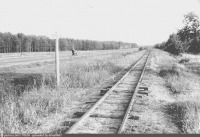 Рязань - Участок Варские-Солодча на Рязано-Владимирской узкоколейной железной дороге