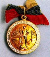 Медали, ордена, значки - Жетон «Жертвователю на экспедицию старш. лейт. Седова к Северному полюсу»