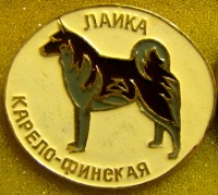 Медали, ордена, значки - Значки, посвящённые породам собак - 2