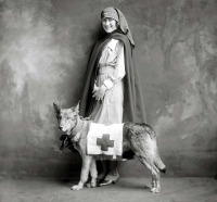 Военная техника - Военная медсестра со своим верным псом.