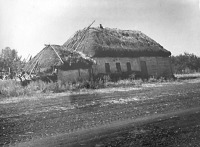 Анна - Старая Тойда. Дом, в котором родилась Анна Королькова.