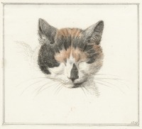 Картины - Жан Бернард. Спящая кошка