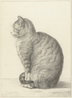 Картины - Серый кот, 1815