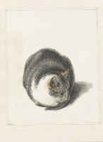 Картины - Кошка, 1799-1837