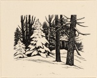 Картины - Томас У. Насон. Зимний лес