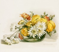 Картины - Букет белых и жёлтых хризантем